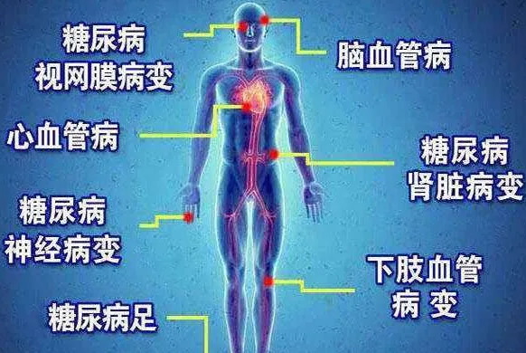 遠(yuǎn)紅(hóng)外(wài)線對(duì)糖尿病并發症的(de)作(zuò)用(yòng)