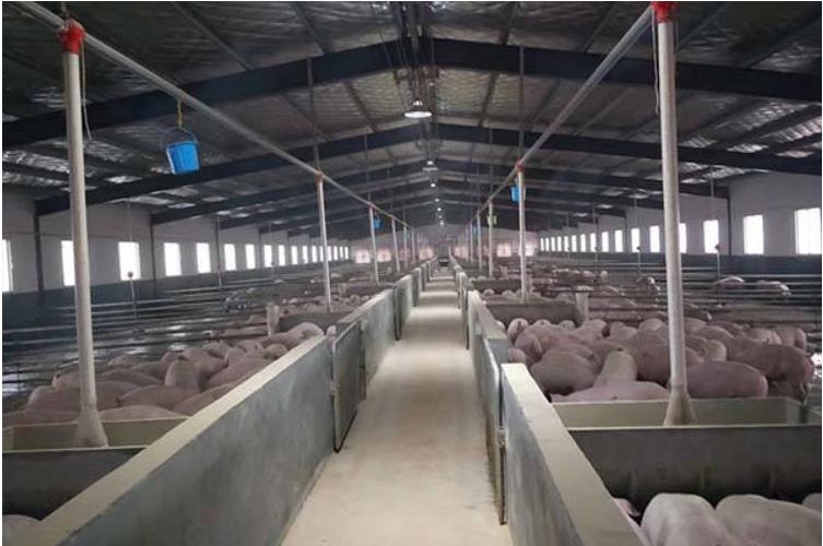 養殖行(xíng)業(yè)